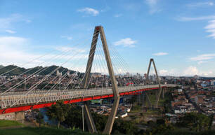 Pereira